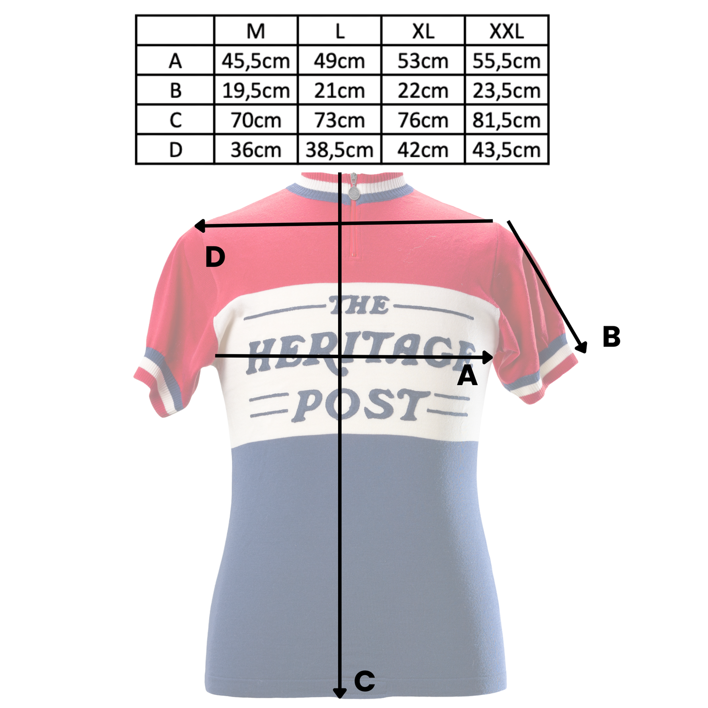 Limited_Edition_The_Heritage_Post_Magliamo_Radtrikot_Maße_2