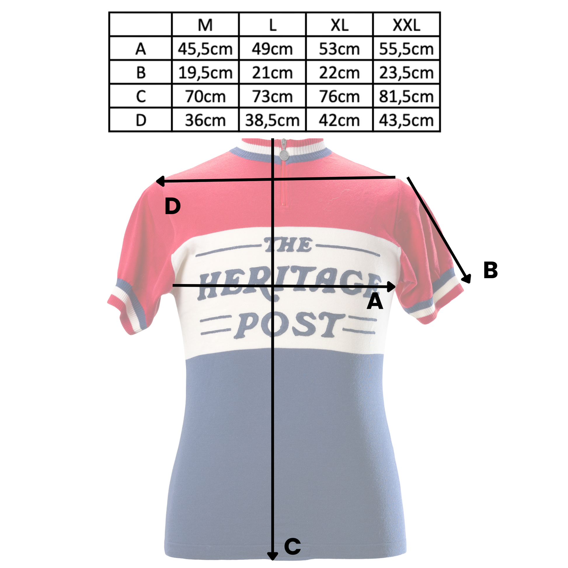 Limited_Edition_The_Heritage_Post_Magliamo_Radtrikot_Maße_2